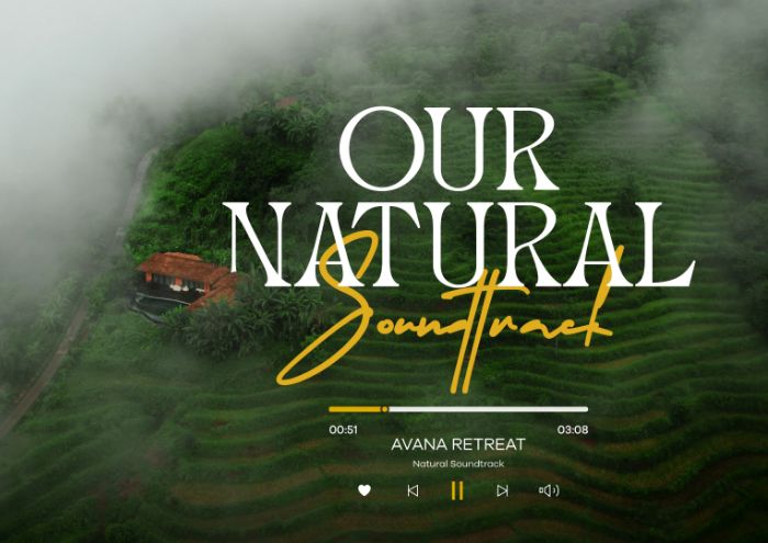 The special orchestra at Avana Retreat, Northern Vietnam